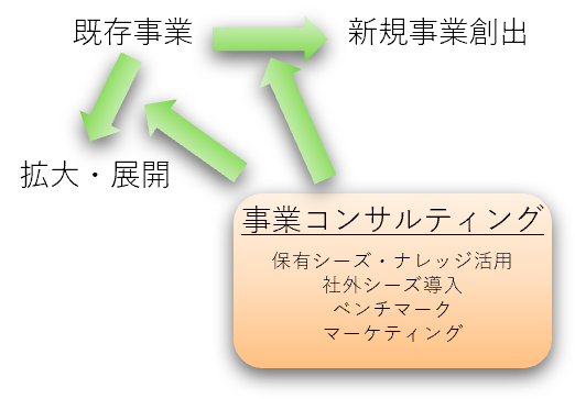 事業コンサルティングによって既存事業の拡大・展開、破壊的イノベーションによる新規事業創出を実現します