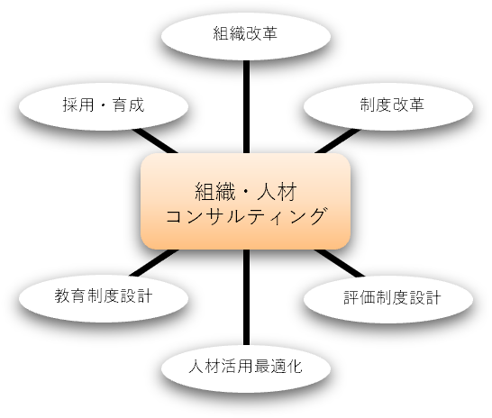 組織・人材コンサルティングでは、組織、制度の再設計・再構築、採用、教育・育成を改革、最適化します
